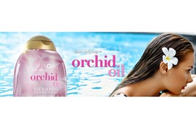 شامپو مراقبت از رنگ موی او جی ایکس حاوی روغن ارکیده Ogx Orchid Oil حجم 385 میلی لیتر