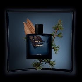 عطر مردانه شنل بلو د شنل پرفیوم Chanel Bleu de Chanel Parfum حجم 100 میلی لیتر